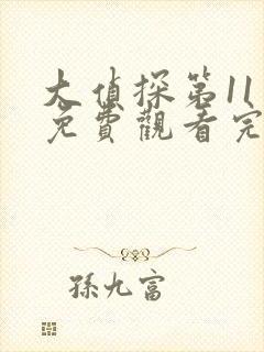 大侦探第11季免费观看完整版封面