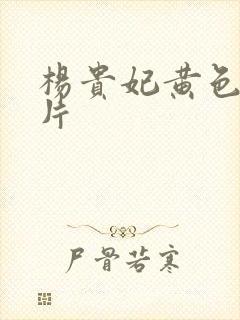 杨贵妃黄色一级片