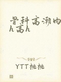 骨科高潮肉h文h高h