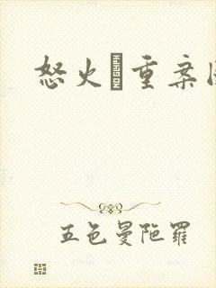 怒火·重案国语封面