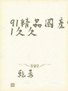 91精品国产91久久