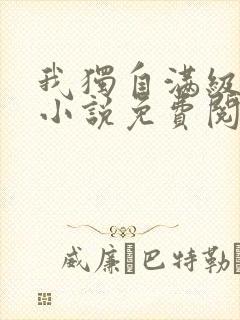 我独自满级新手小说免费阅读