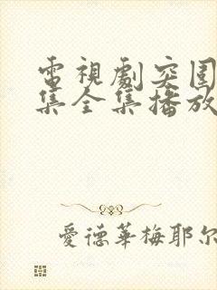 电视剧突围45集全集播放免费封面