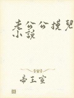 老公公摸儿媳妇小说