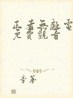 正者无敌电视剧免费观看