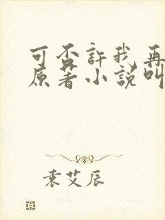 可否许我再少年原著小说叫什么封面