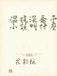 温砚深乔予安的小说叫什么