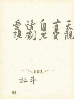 爱情自有天意电视剧免费观看完整版第一部封面