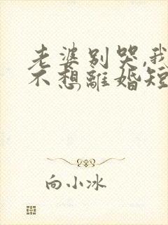 老婆别哭,我真不想离婚短剧