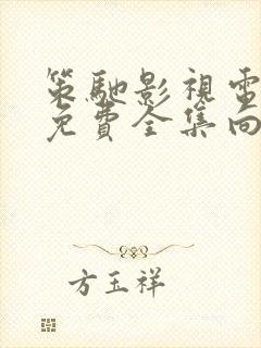 策驰影视电视剧免费全集向风而行封面