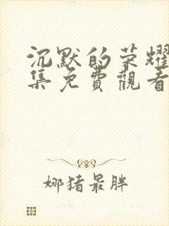 沉默的荣耀第三集免费观看