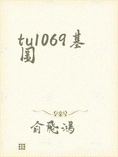 tu1069基图
