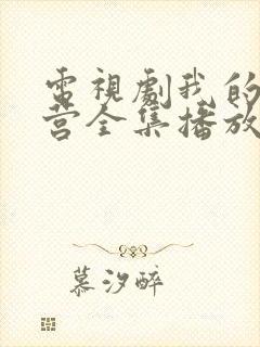 电视剧我的特一营全集播放封面