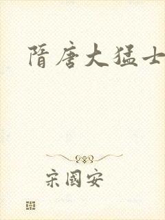 隋唐大猛士封面