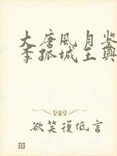 大唐风月鉴主角李孤城王兴的小说