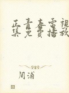 正青春电视剧全集免费播放高清版