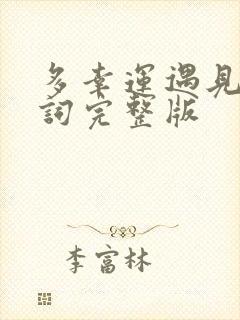 多幸运遇见你歌词完整版