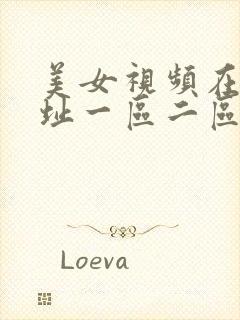 美女视频在线网址一区二区