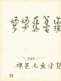 妈妈在等你一共多少集电视剧