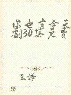 你也有今天电视剧30集免费观看