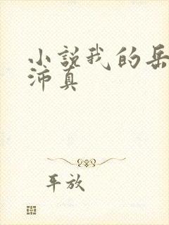 小说我的岳母苏沛真