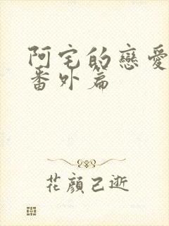 阿宅的恋爱真难番外篇封面