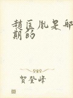 赵匡胤是哪个时期的