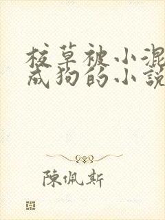 校草被小混调练成狗的小说免费阅读全文封面