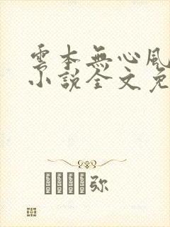 云本无心风起意小说全文免费阅读