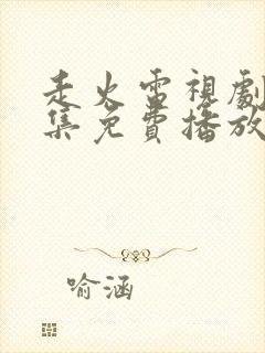 走火电视剧40集免费播放