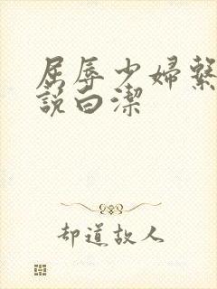 屈辱少妇系列小说白洁封面