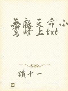 无敌天命小说青鸾峰上txt