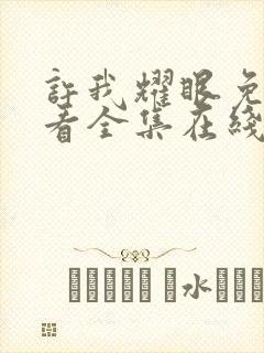 许我耀眼免费观看全集在线播放封面