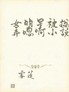 女明星被总裁玩弄嗯啊小说封面