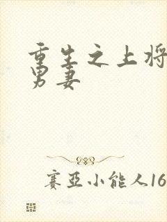 重生之上将霸宠男妻