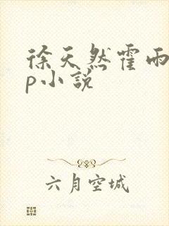 徐天然霍雨浩cp小说