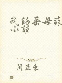 我的岳母苏沛珍小说