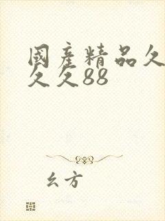 国产精品久久久久久88