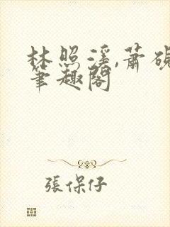 林照溪,萧砚川笔趣阁