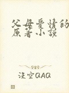 父母爱情的小说原著小说封面