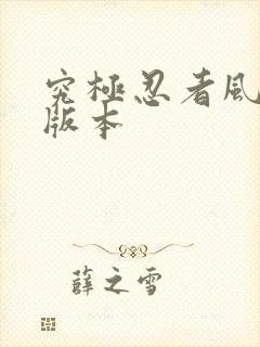 究极忍者风暴4版本