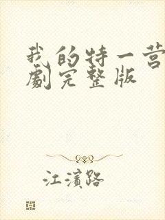 我的特一营电视剧完整版