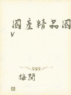 国产精品国码av