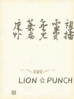 度华年电视剧番外篇免费播放