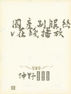 国产制服丝袜av在线播放