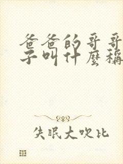 爸爸的哥哥的妻子叫什么称呼