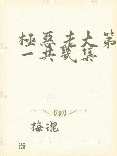 极恶老大第二季一共几集