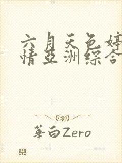 六月天色婷婷激情亚洲综合