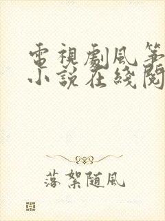 电视剧风筝原著小说在线阅读封面