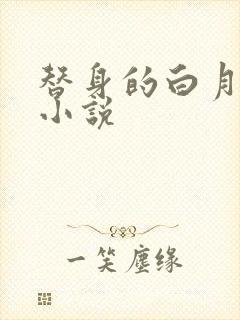 替身的白月光 小说